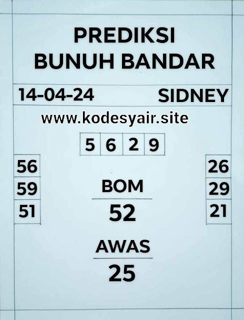 SYAIR SDY VIP